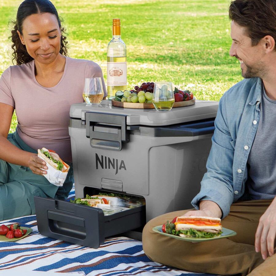 ninja frostvault 30qt28l hartkühler – schiefergrau fb131ukgy