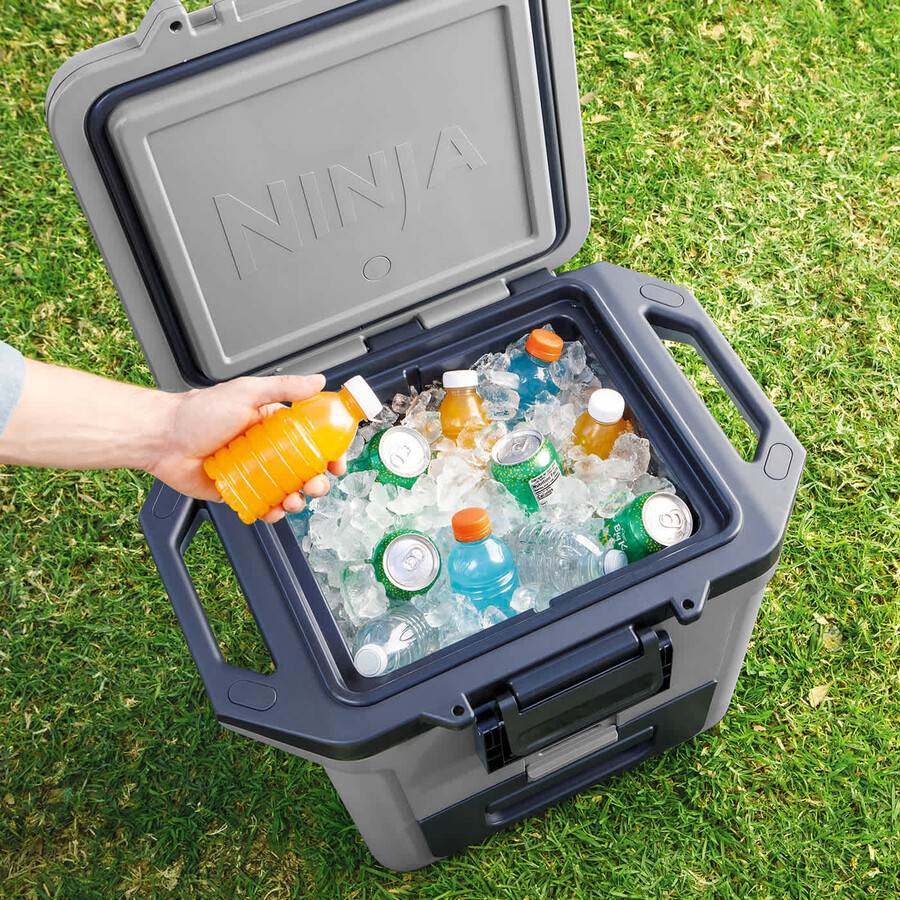 ninja frostvault 30qt28l hartkühler – schiefergrau fb131ukgy