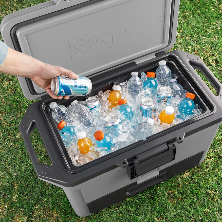 ninja frostvault 50qt47l hartbox - schiefergrau fb151ukgy
